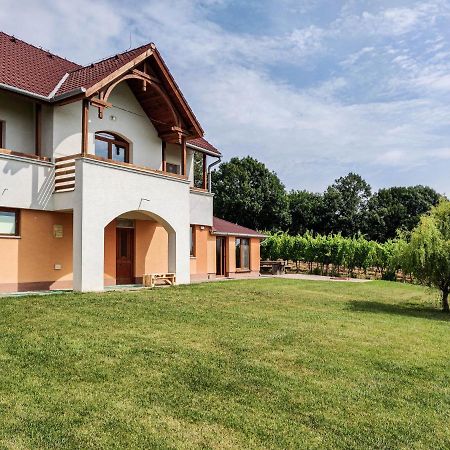 Villa Vinox Winery Vinica Esterno foto