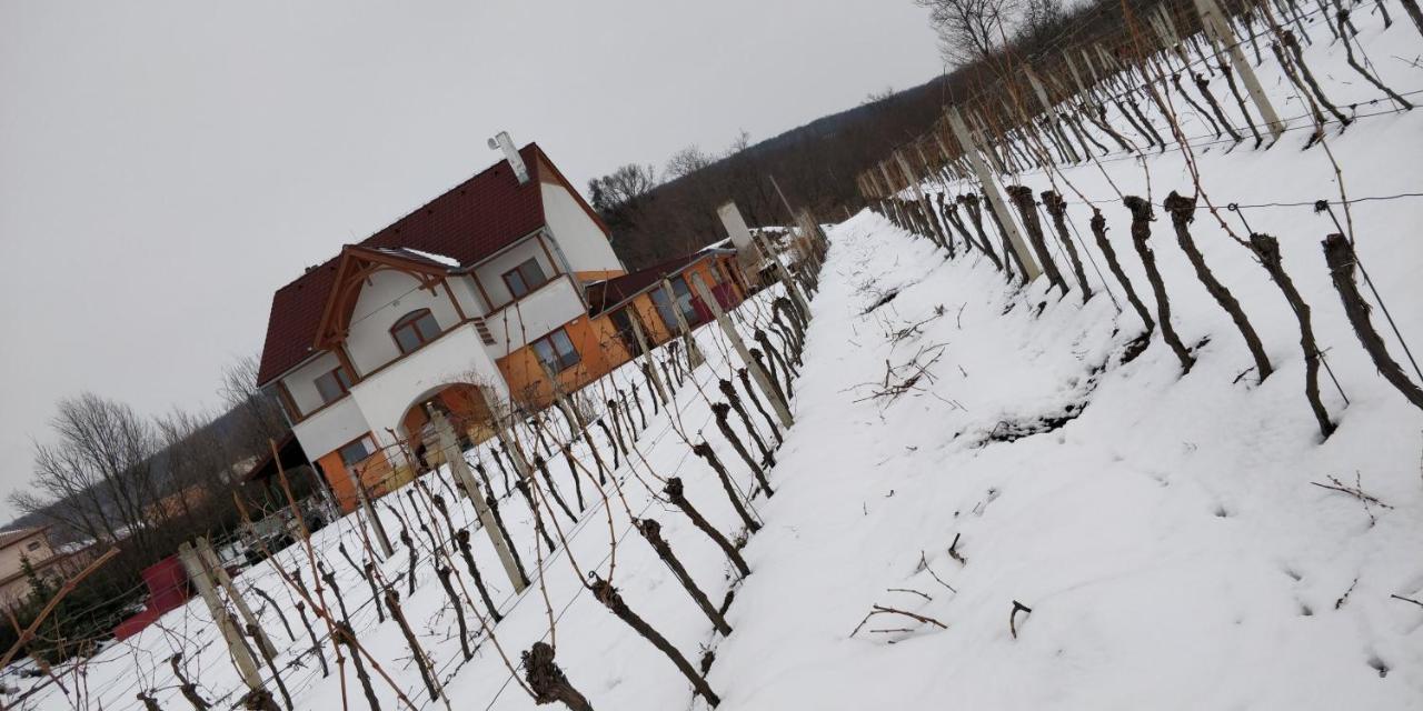 Villa Vinox Winery Vinica Esterno foto