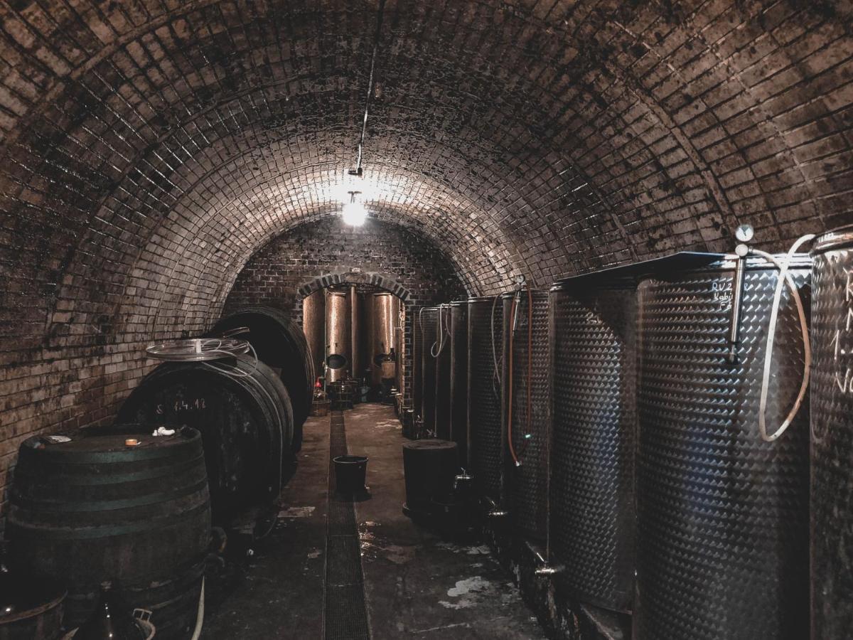 Villa Vinox Winery Vinica Esterno foto