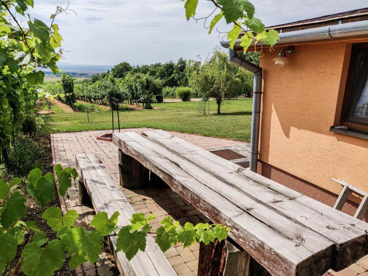 Villa Vinox Winery Vinica Esterno foto