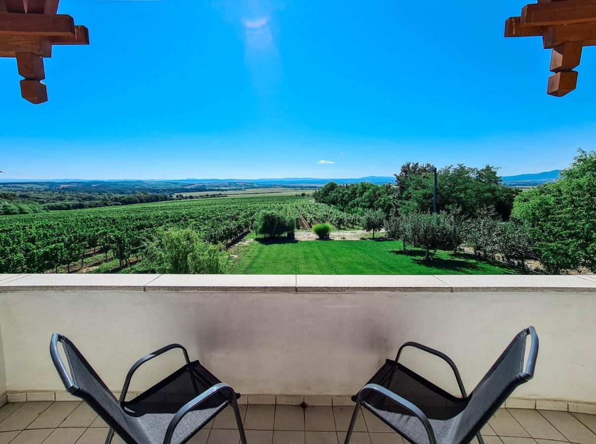 Villa Vinox Winery Vinica Esterno foto